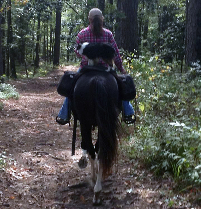 Lil Dawg Shepherd's Sysco rode horseback many miles with me.